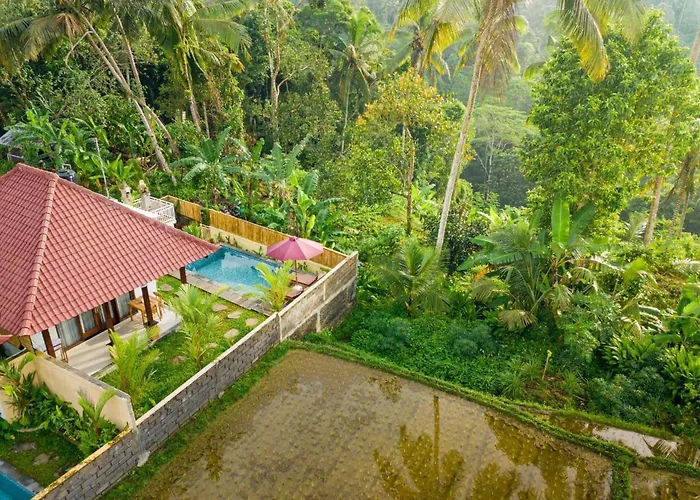 Dukuh Sari Ubud (Bali)